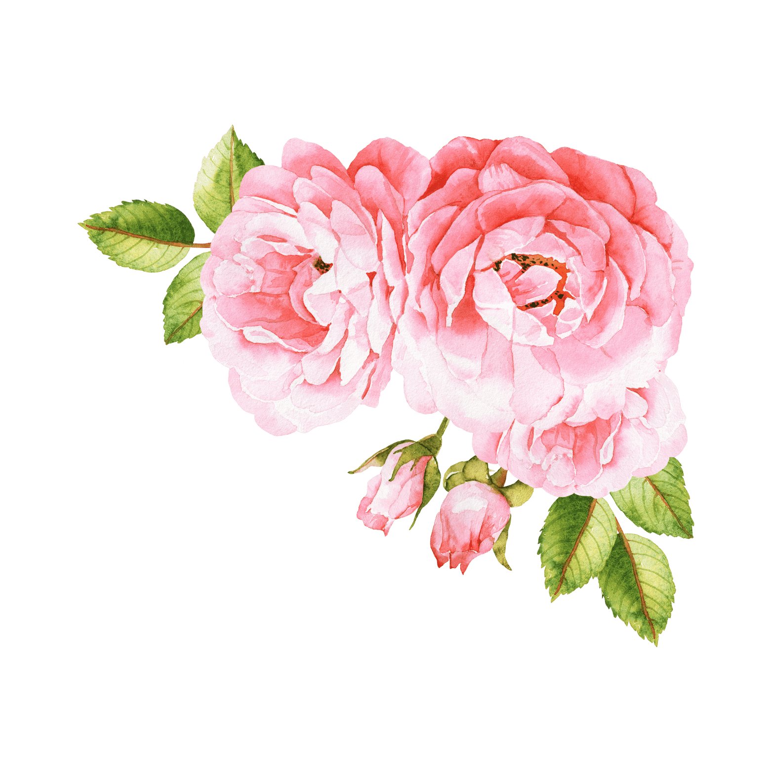 Top Right Flower