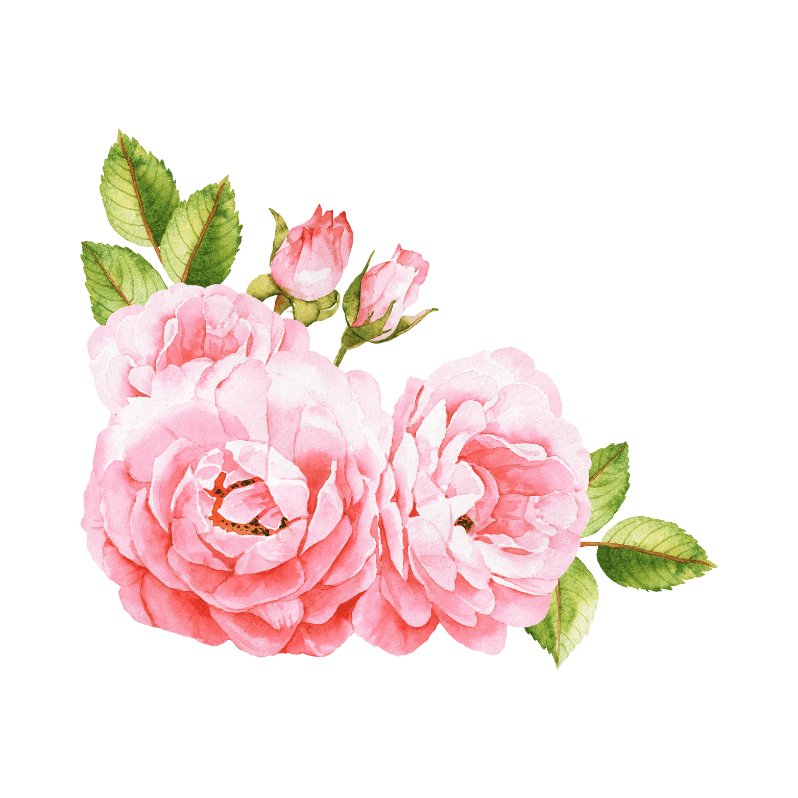 Bottom Left Flower